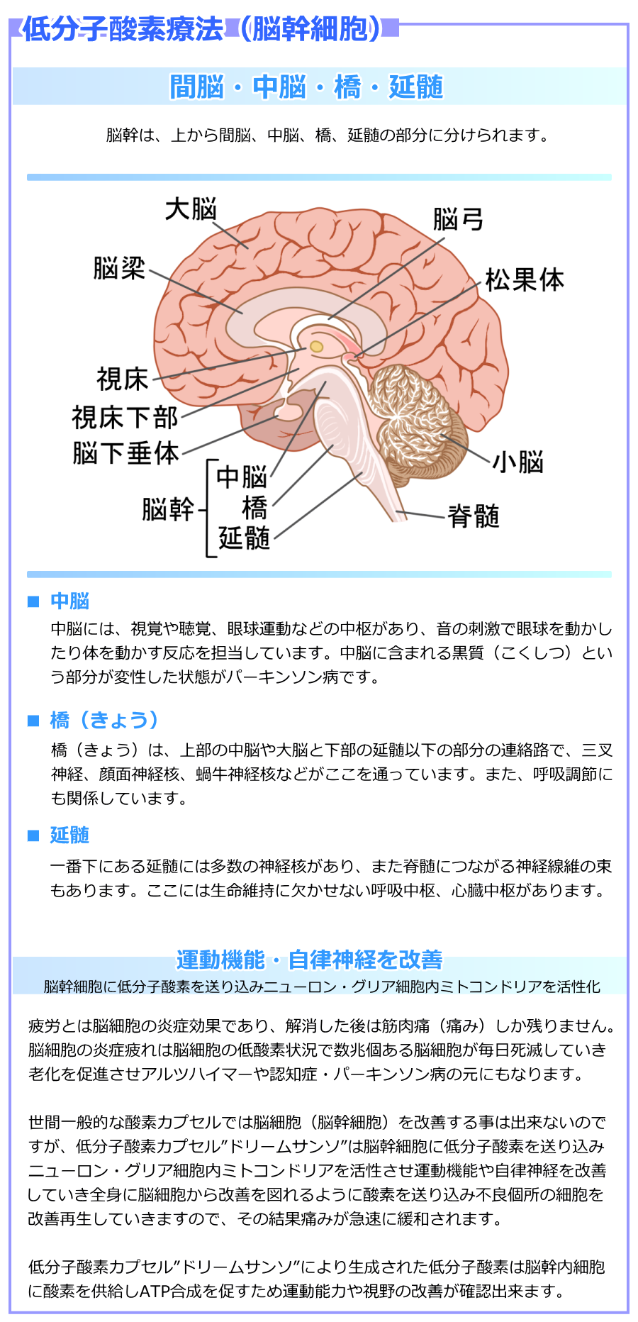 ᕪq_fÖ@i]זEj/ Ԕ]E]EE / ]́AォԔ]A]AA̕ɕ܂B ] ]ɂ́Ao⒮oAዅ^Ȃǂ̒A̎hŊዅ𓮂̂𓮂SĂ܂B]Ɋ܂܂鍕ijƂϐԂp[L\ałB i傤j i傤j́A㕔̒]]Ɖ̉ȉ̘̕AHŁAO_oAʐ_ojA嗋_ojȂǂʂĂ܂B܂Aċz߂ɂ֌WĂ܂B  ԉɂ鉄ɂ͑̐_ojA܂ҐɂȂ_oۂ̑܂Bɂ͐ێɌȂċzAS܂B / ^@\E_oP / ]זEɒᕪq_f𑗂荞݃j[EOAזE~gRhA / JƂ͔]זẺǌʂłA͋ؓɁiɂ݁jc܂B]זẺǔ͔]זE̒_f󋵂Ő]זEłĂV𑣐iAcnC}[FmǁEp[L\ǎɂȂ܂BԈʓIȎ_fJvZł͔]זEi]זEjP鎖͏oȂ̂łAᕪq_fJvZhh[T\h͔]זEɒᕪq_f𑗂荞݃j[EOAזE~gRhA^@\⎩_oPĂSgɔ]זEP}悤Ɏ_f𑗂荞ݕsǌ̍זEPĐĂ܂̂ŁǍʒɂ݂}Ɋɘa܂Bᕪq_fJvZhh[T\hɂ萶ꂽᕪq_f͔]זEɎ_fATP𑣂߉^\͂⎋̉PmFo܂B