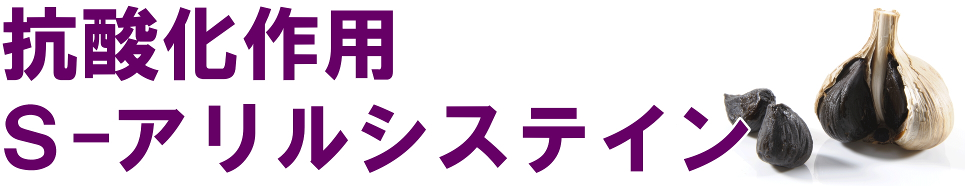 抗酸化作用 S-アリルシステイン