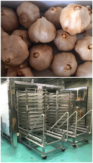 黒にんにく加工委託